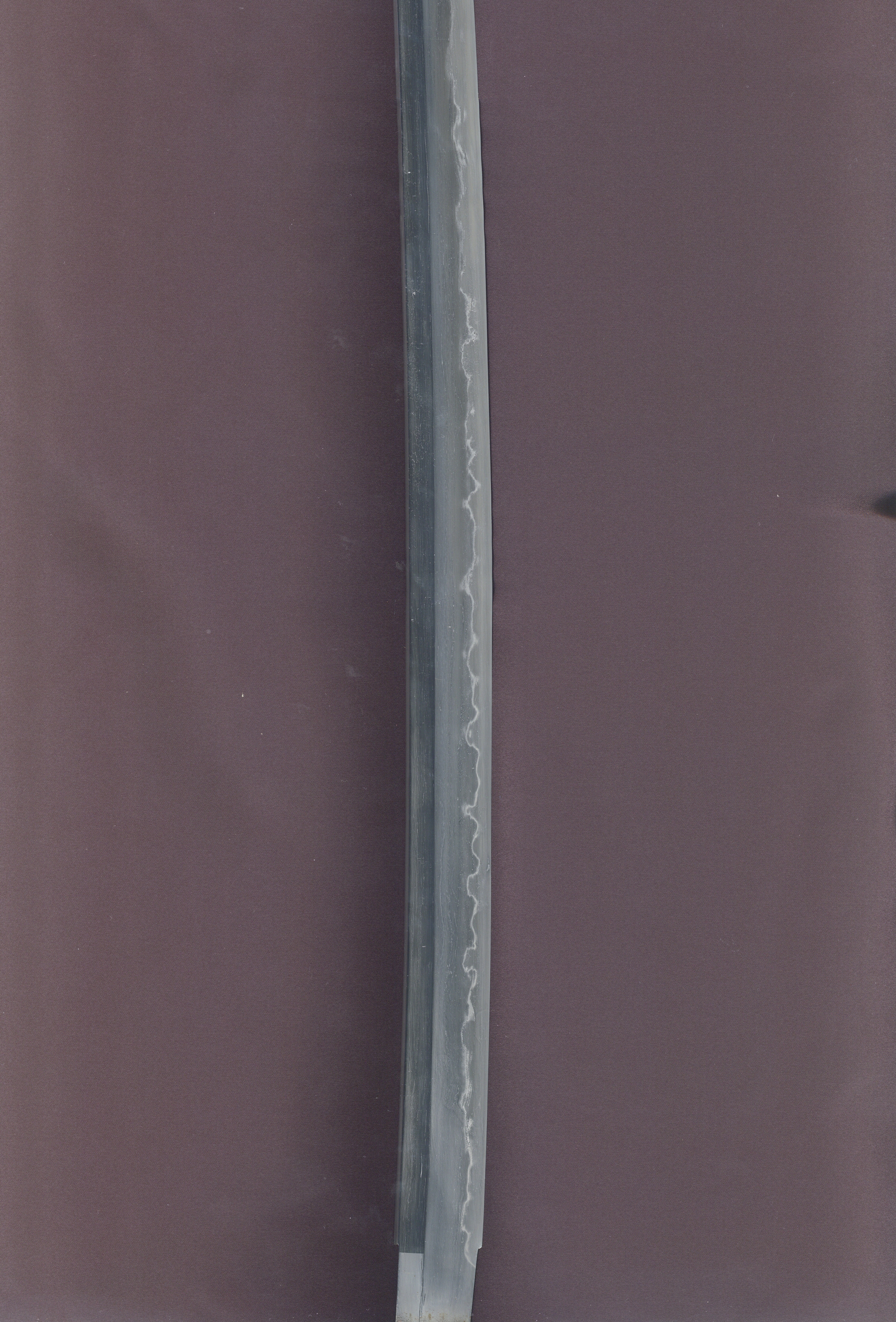 ギャラリー画像