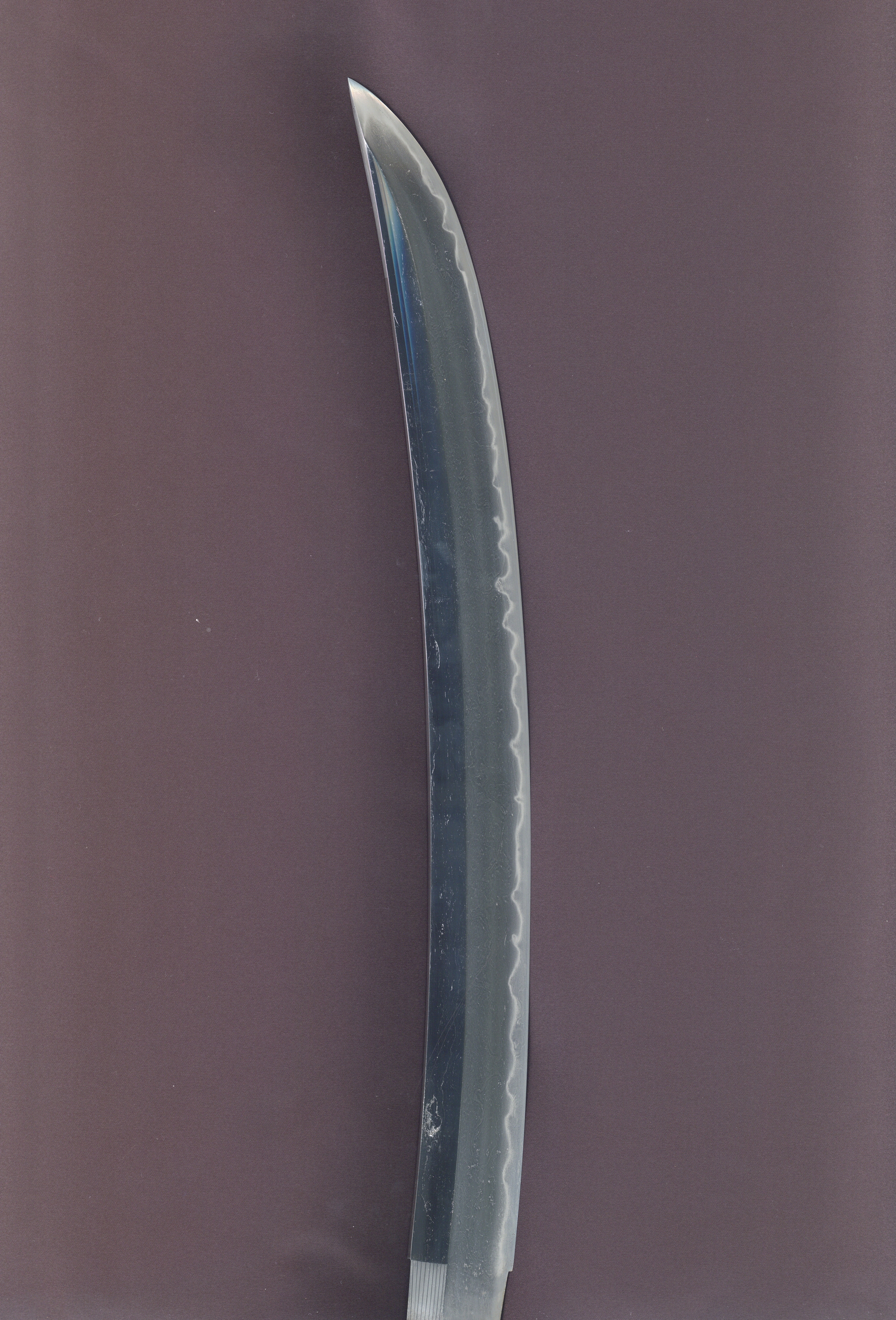 ギャラリー画像