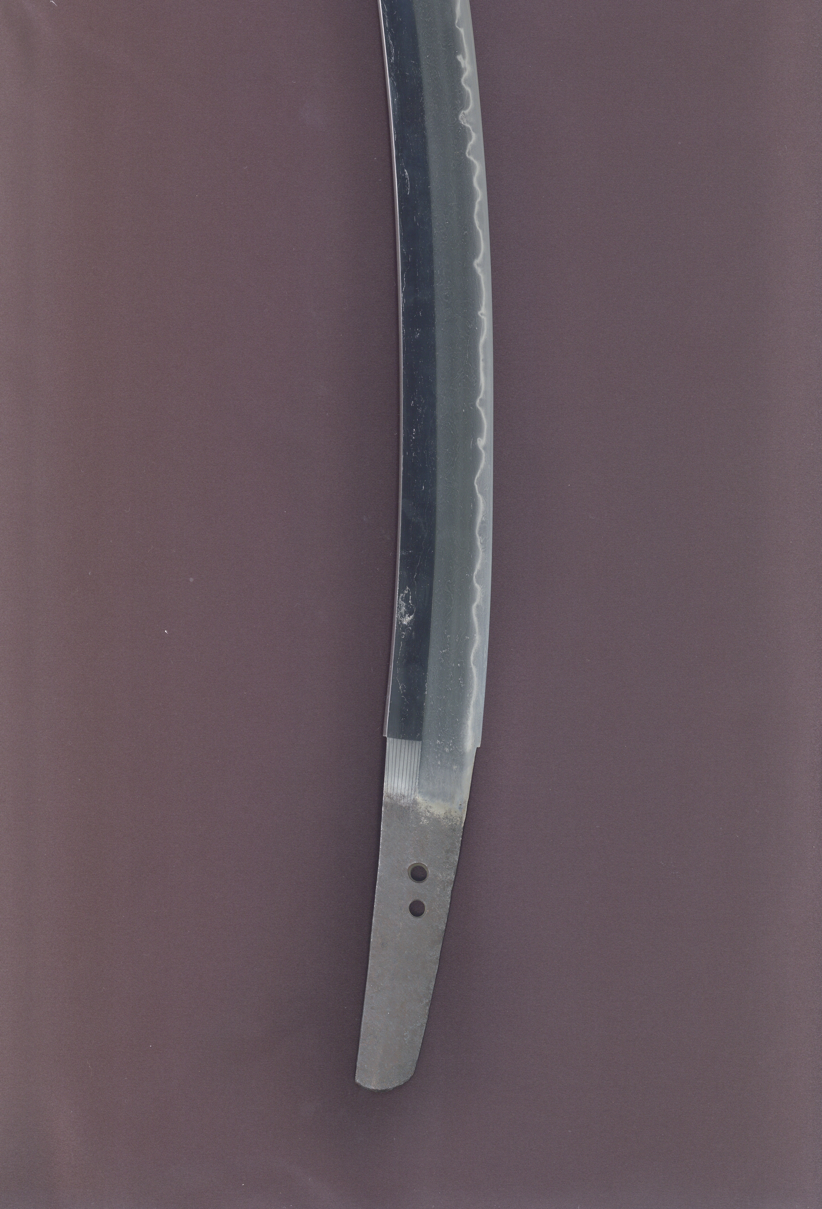 ギャラリー画像