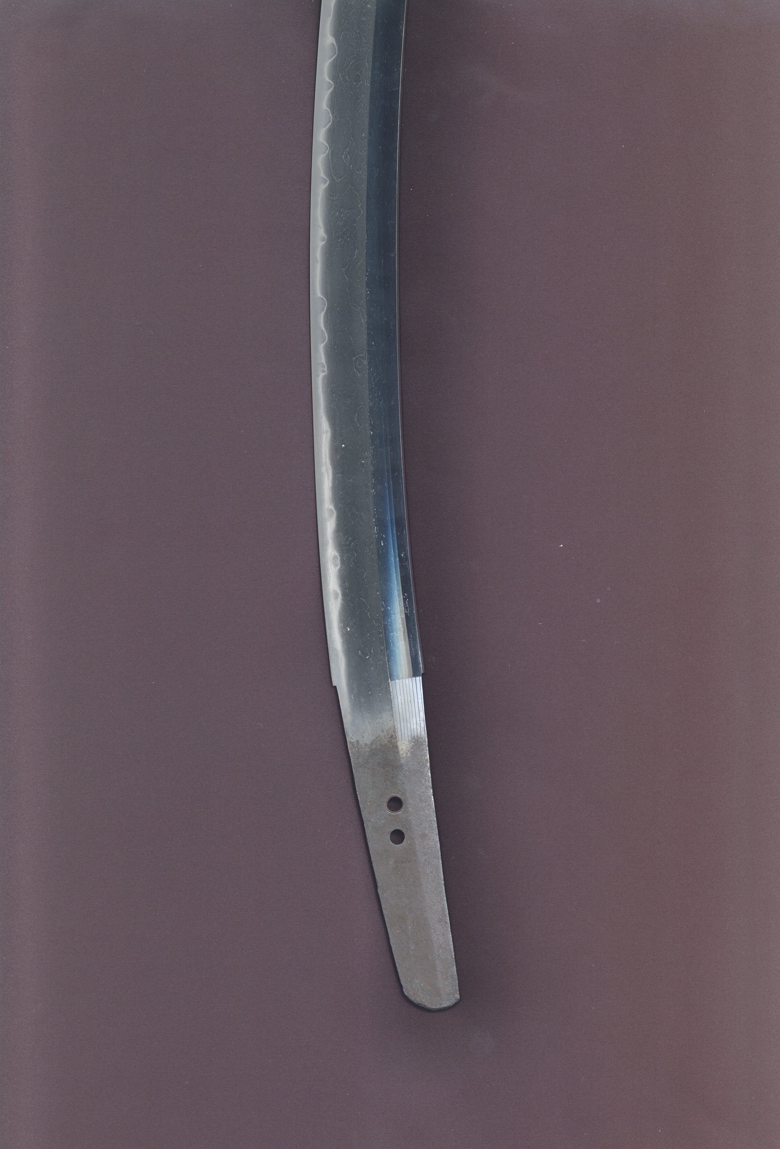 ギャラリー画像