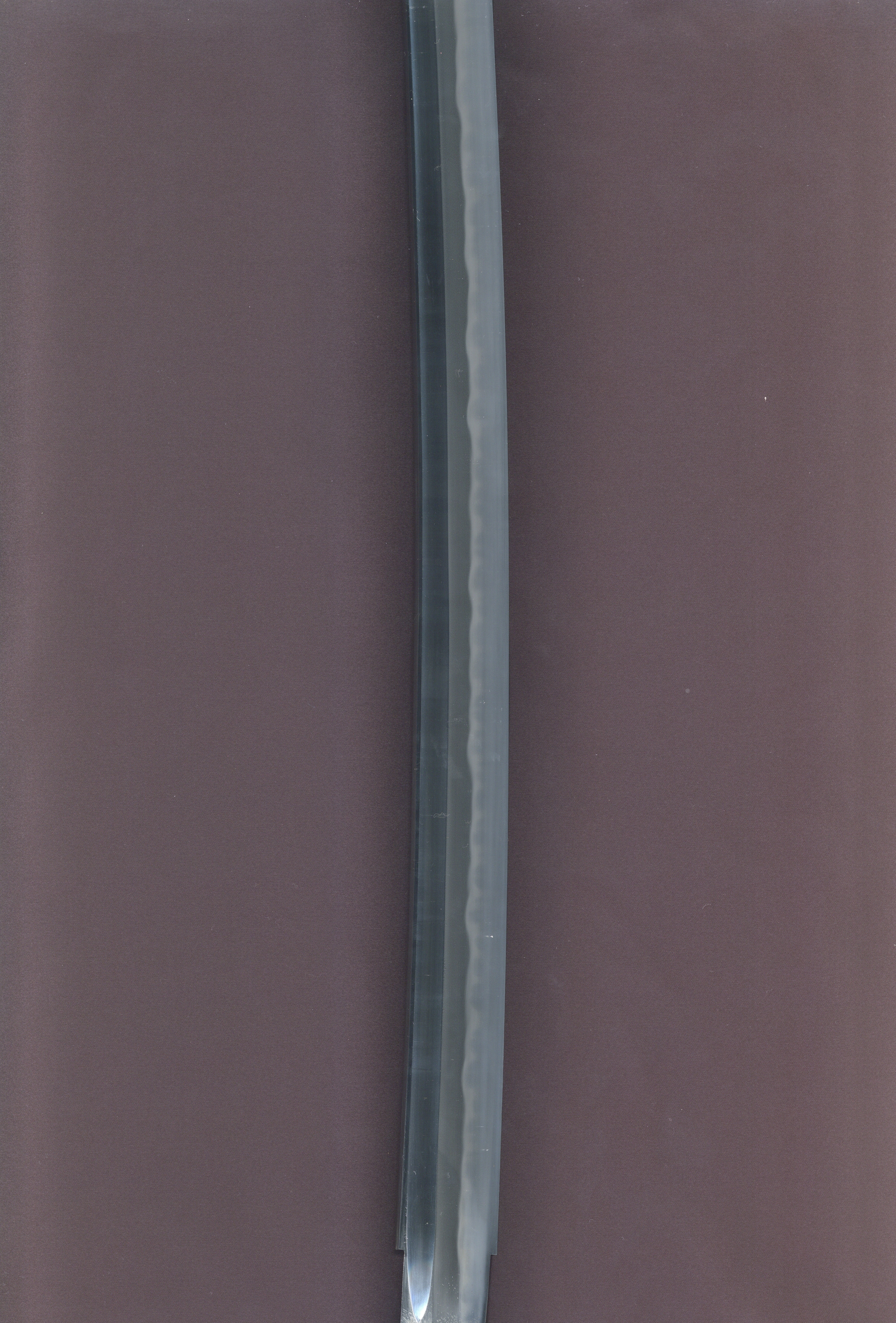 ギャラリー画像