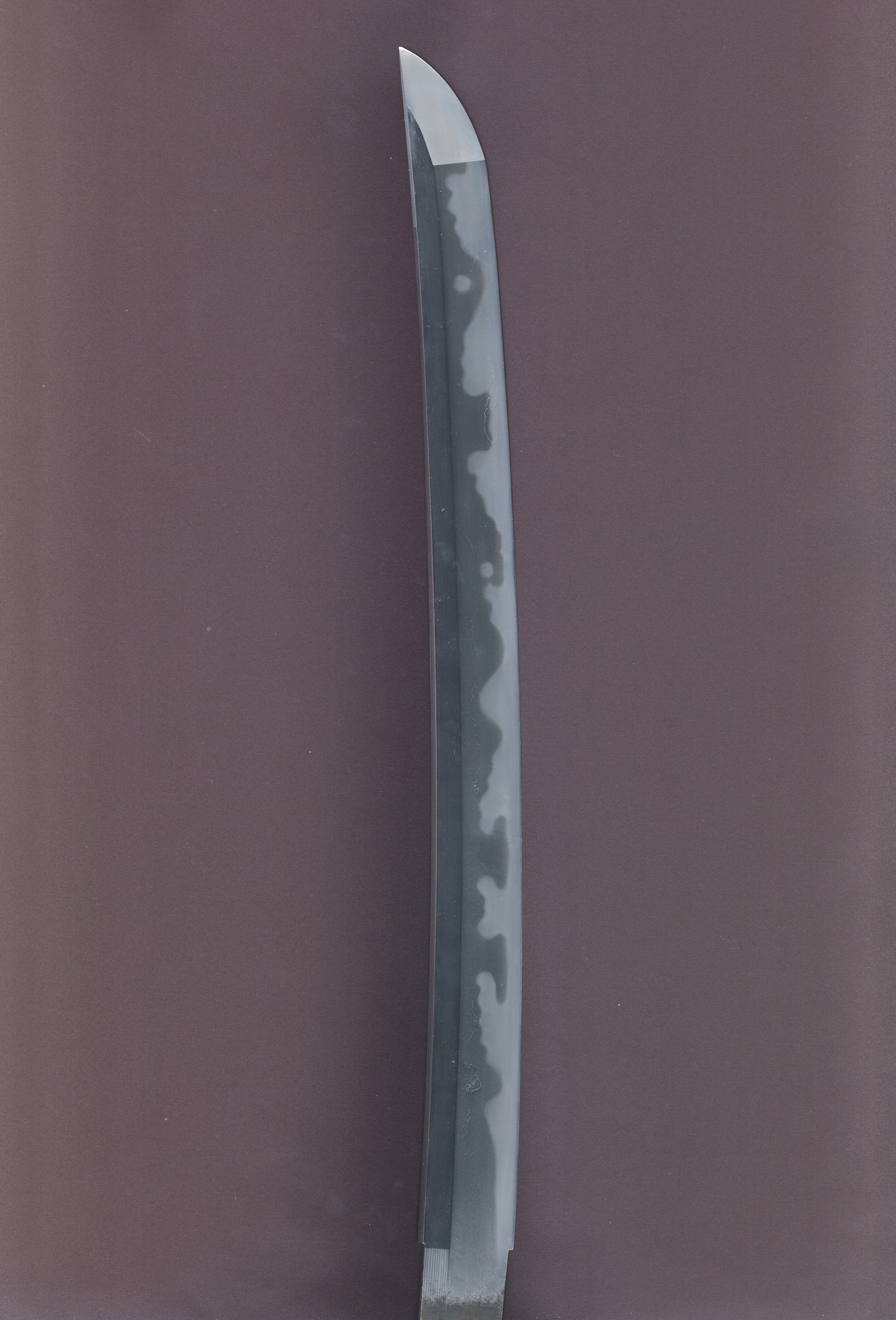 ギャラリー画像