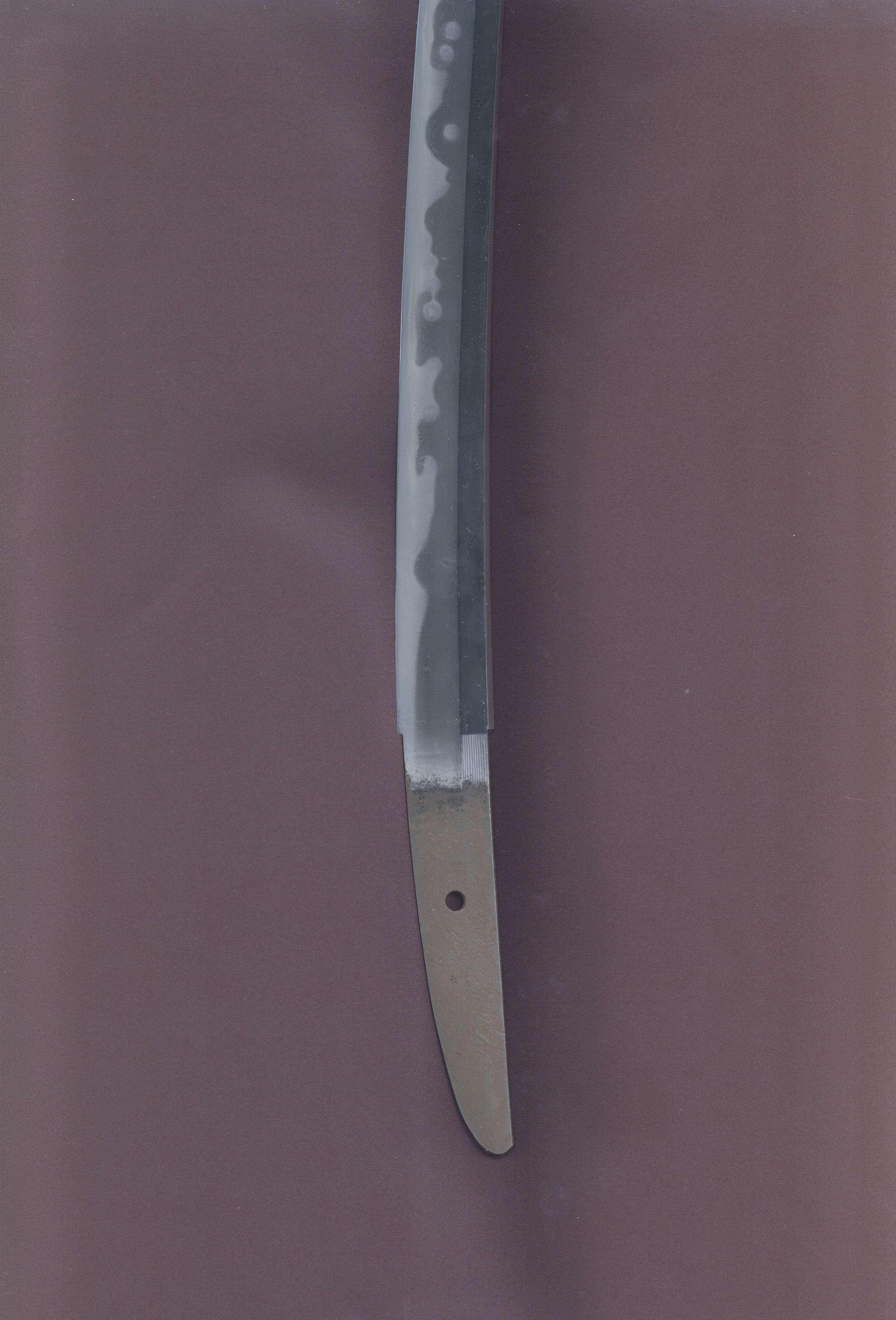 ギャラリー画像