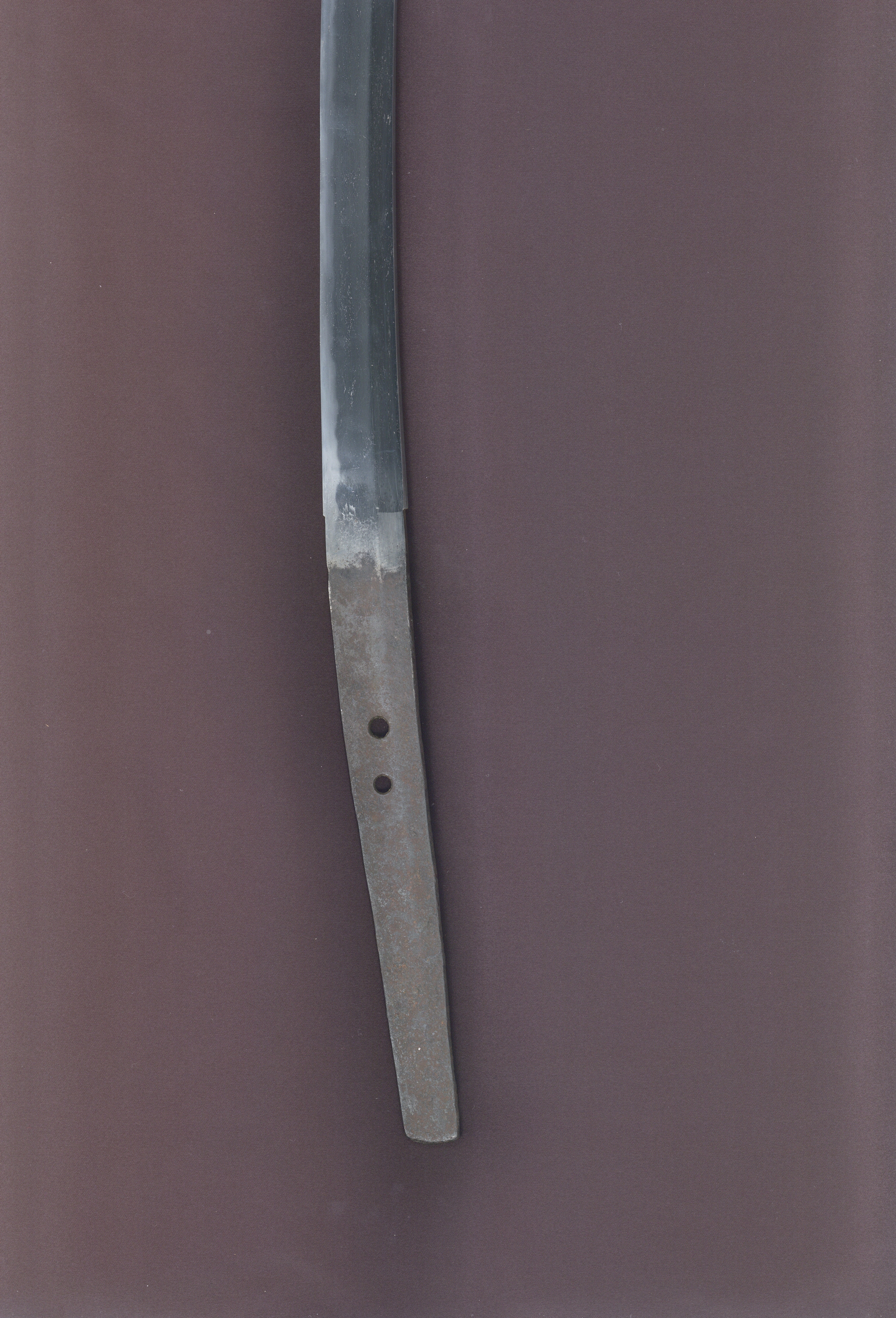 ギャラリー画像