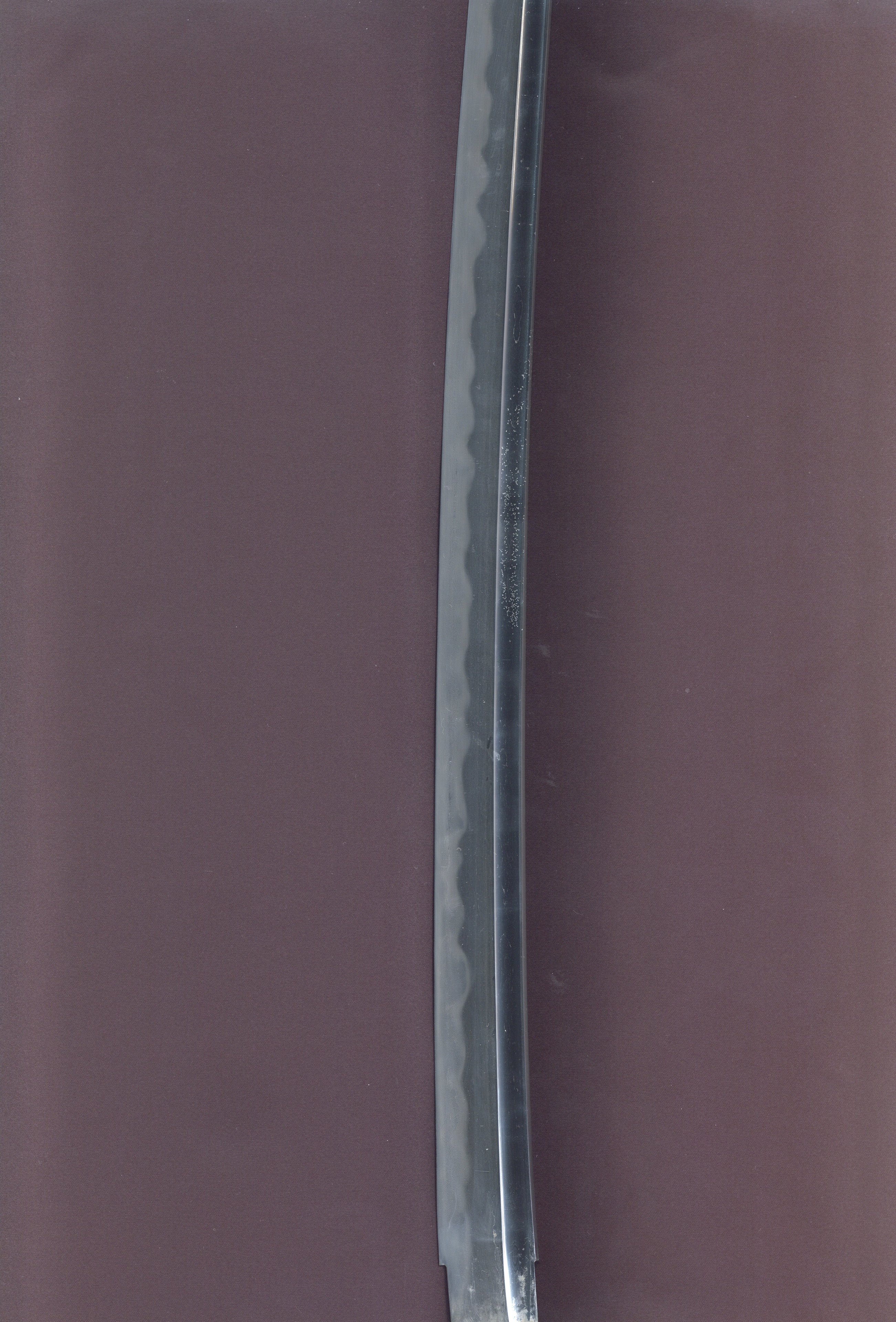 ギャラリー画像